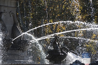 L'eau des fontaines d'Aix-en-Provence