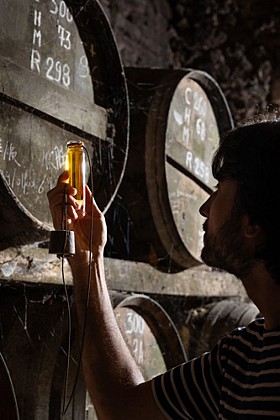 Bourgoin Cognac : Initiation - Les secrets du cognac.
