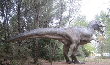 Musée Parc des dinosaures Route départementale 613 à 5 km de Mèze